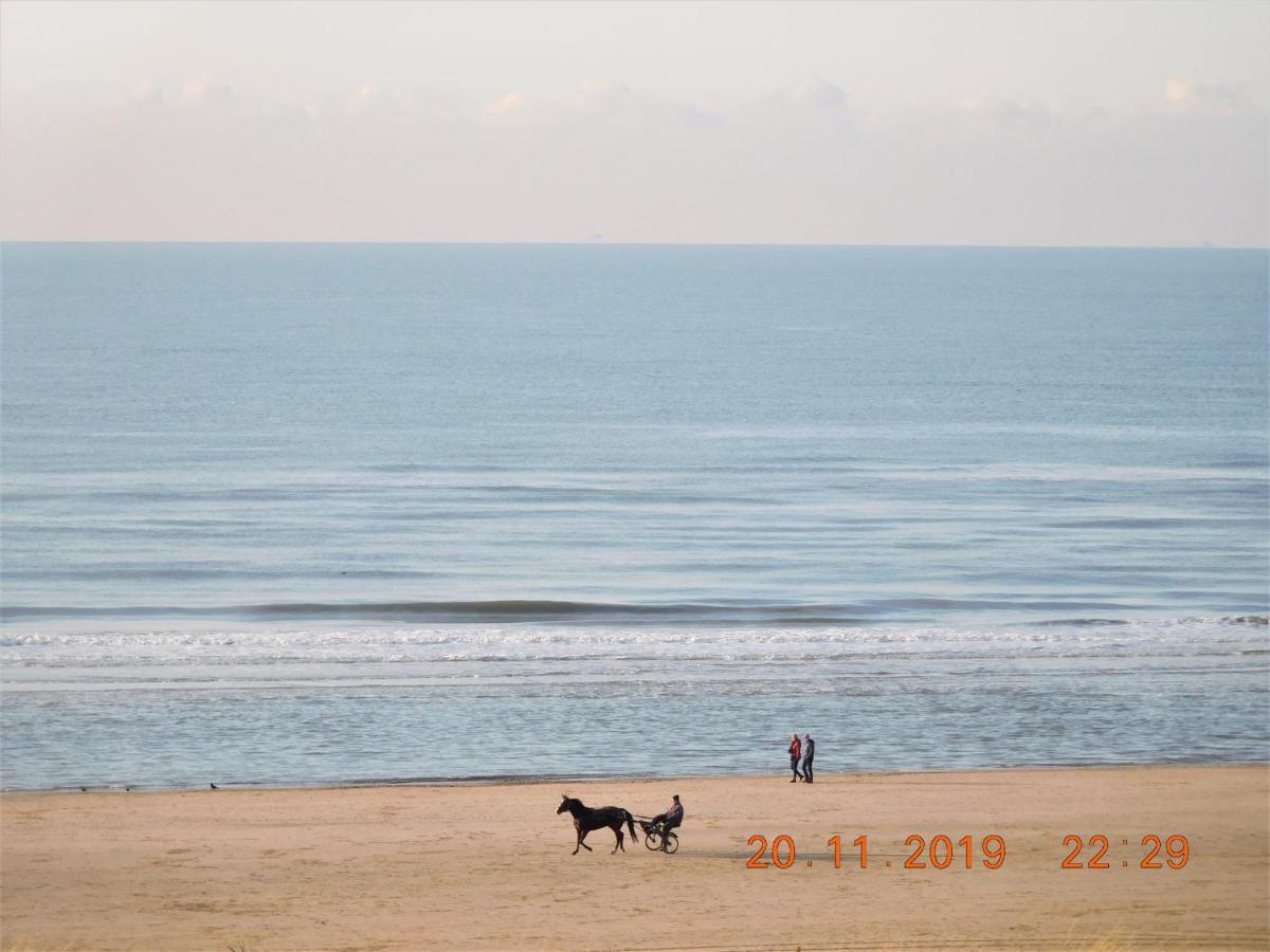 Strandhuis Egmond aan Zee Luaran gambar
